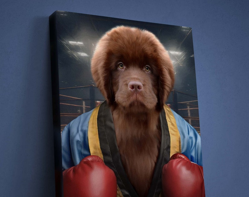 Individuelles Rocky-Haustierportrait